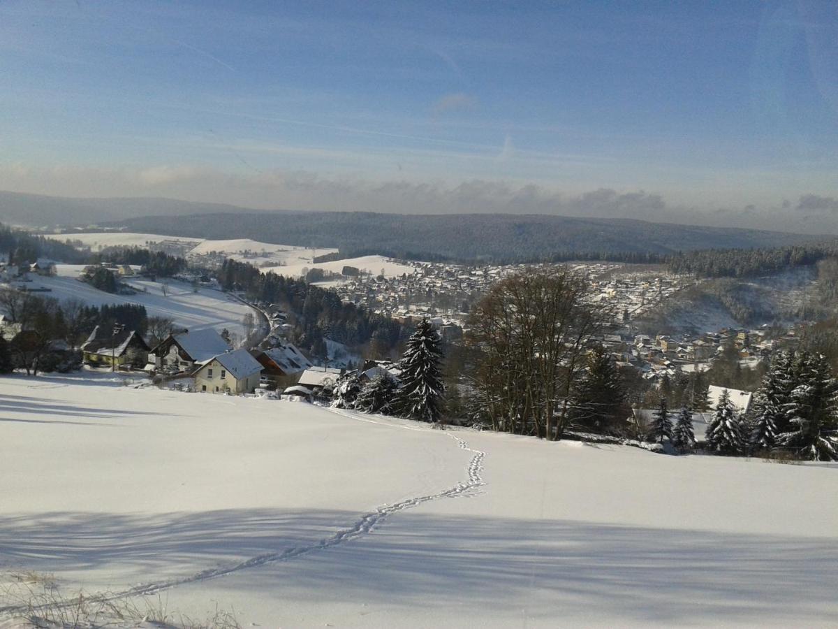 Ferienwohnung Doehlerwald Klingenthal Dış mekan fotoğraf