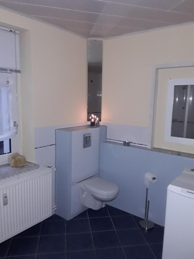 Ferienwohnung Doehlerwald Klingenthal Dış mekan fotoğraf