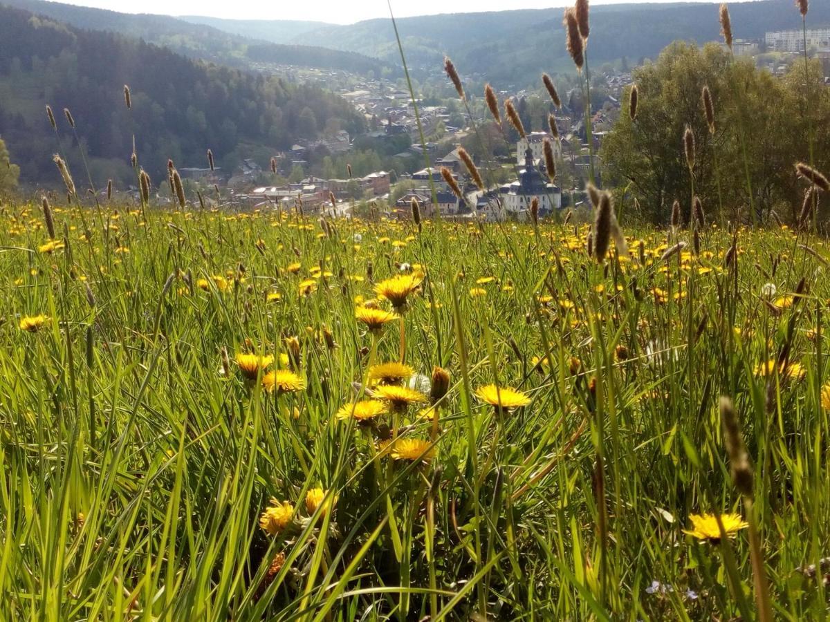 Ferienwohnung Doehlerwald Klingenthal Dış mekan fotoğraf